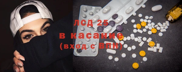 стаф Корсаков