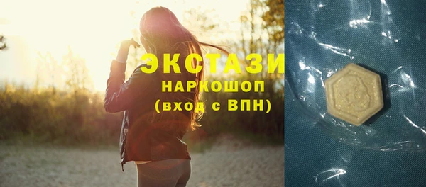 стаф Корсаков
