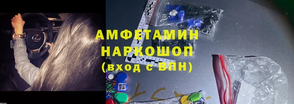 стаф Корсаков