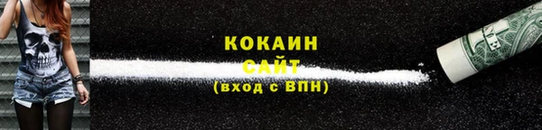 гидра Коряжма