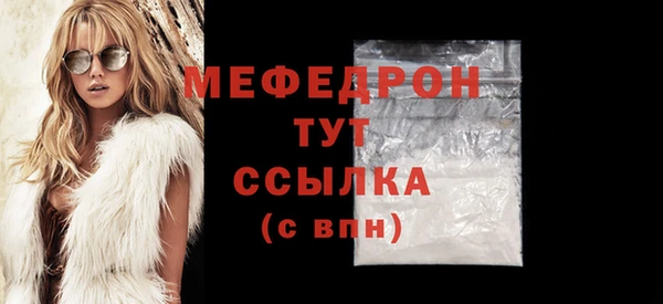 стаф Корсаков