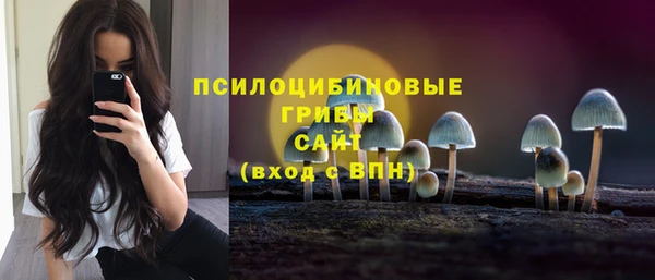 гидра Коряжма