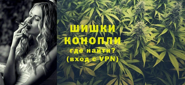 стаф Корсаков