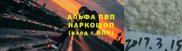 гидра Коряжма