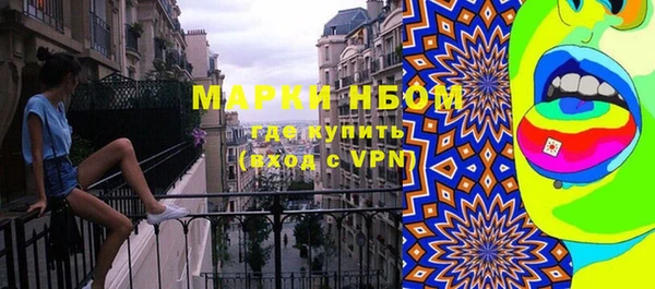 стаф Корсаков