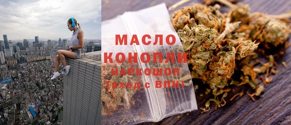 гидра Коряжма