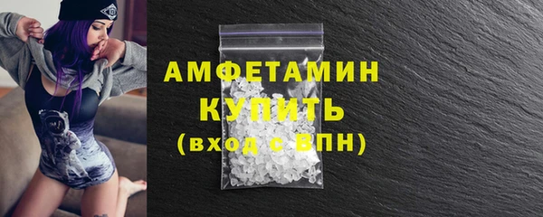 стаф Корсаков