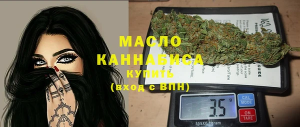 гидра Коряжма