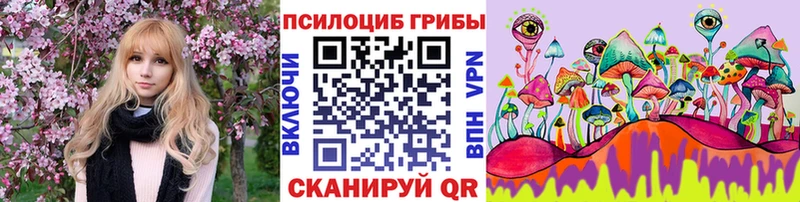 Купить закладки  Иннополис  Галлюциногенные грибы Cubensis 