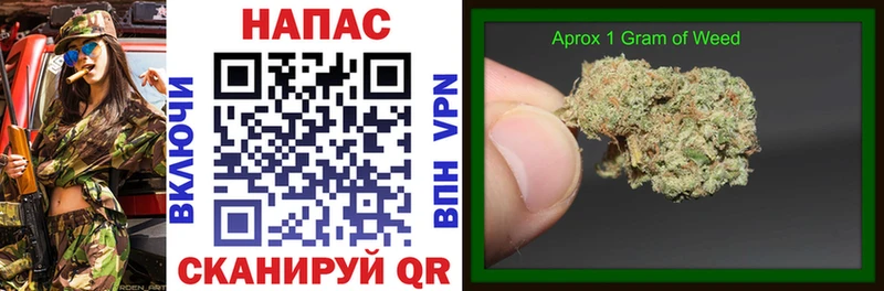 Купить где  Иннополис  Канабис гибрид 